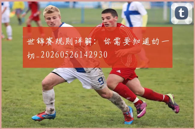 世锦赛规则详解：你需要知道的一切_20260526142930