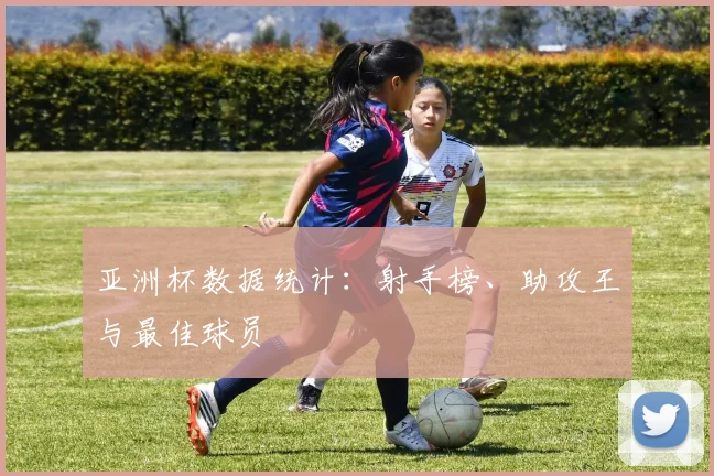 亚洲杯数据统计：射手榜、助攻王与最佳球员